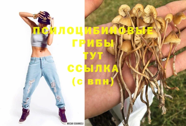 а пвп мука Ахтубинск