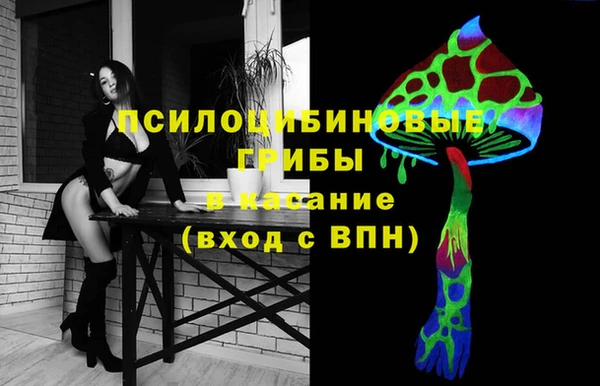 СК Нефтекумск
