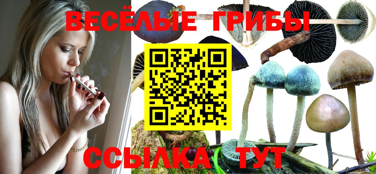 Галлюциногенные грибы Magic Shrooms Ярцево