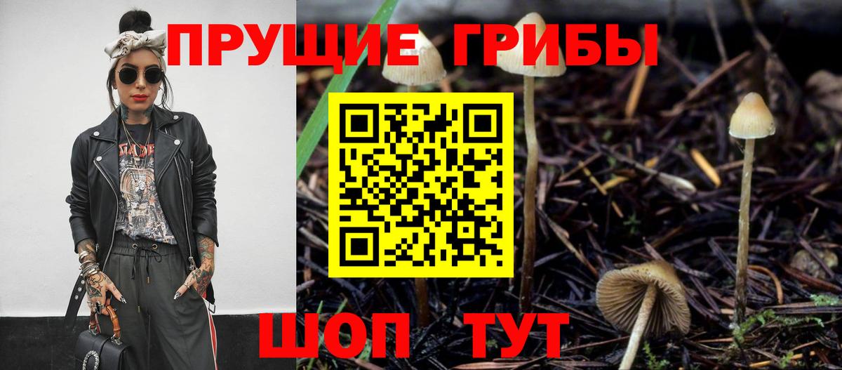 Ярцево  где купить наркоту  Вход с VPN  Псилоцибиновые грибы ЛСД  Галлюциногенные грибы Psilocybe 