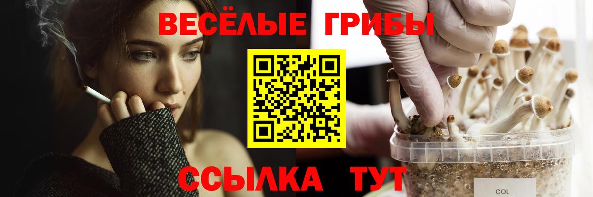 Псилоцибиновые грибы GOLDEN TEACHER  Ярцево 